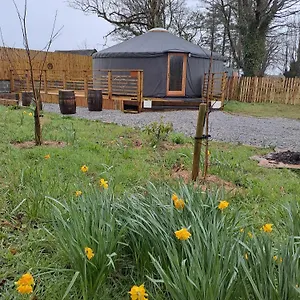 https://the-snowdrop.galwayhotelsireland.net